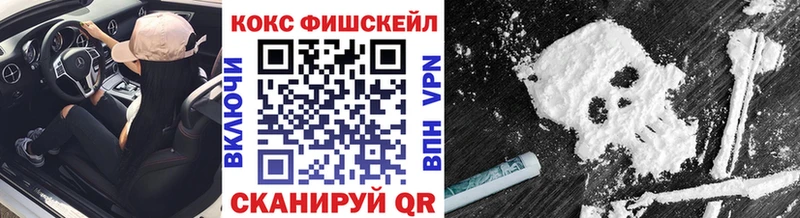 COCAIN Fish Scale  купить  сайты  Дальнегорск 