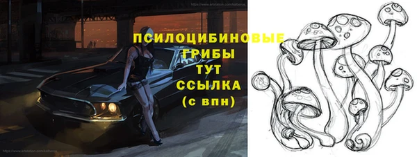 стаф Богородицк
