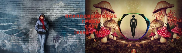 СК Богданович