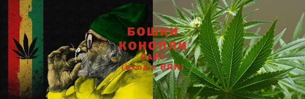 стаф Богородицк