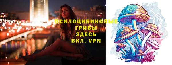 ешки Новодвинск